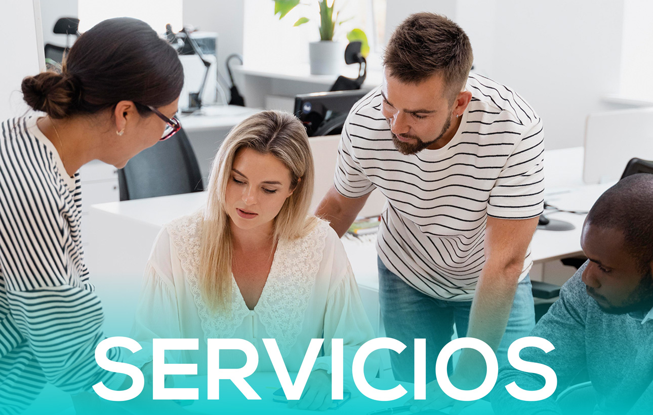 Servicios